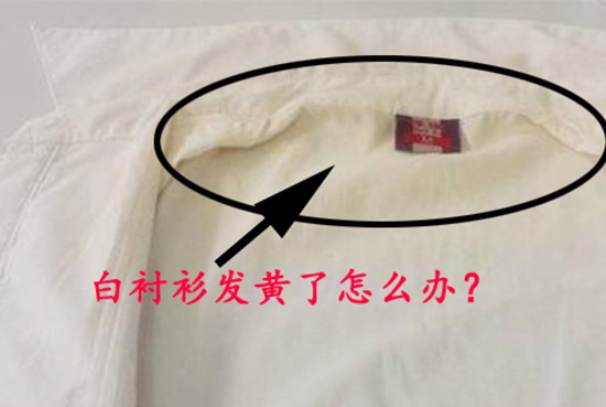 13246_1564157366_4305081.jpg lessmore多少定制教你挽救你的白襯衫